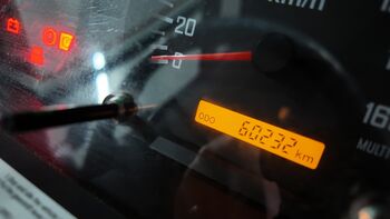 Isuzu Turquoise 2023